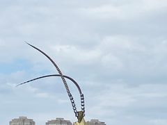 -长春世界雕塑园冰雪艺术天地