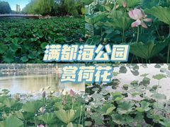 -满都海公园