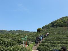 -龙井壹号·茶缘山景宴(龙井村店)