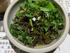 -白乐天毛肚火锅馆(南滨路店)