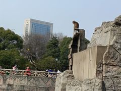 -南昌动物园
