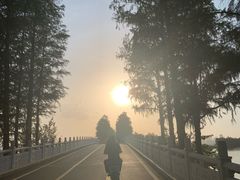 -东湖落雁景区