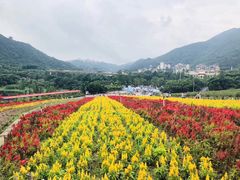 -东部华侨城