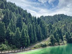 -武陵山森林公园