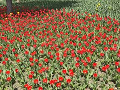 -长春公园(普阳街道)