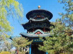 -迎泽公园