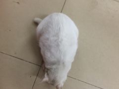 -英姐农家乐