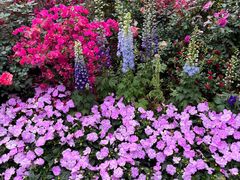 -人民公园(罗湖区)