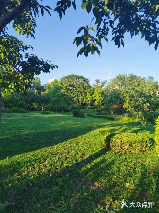 天津水上公园图片