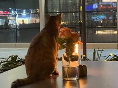 -叁 Three· bistro餐酒馆