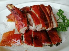 桂林漓江边琵琶鸭-桂林肥仔·中华餐饮名店(园湖店)