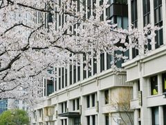 -陆家嘴中心绿地