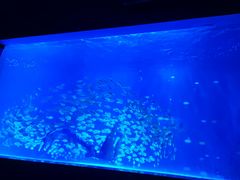 -常州海昌海洋探索馆