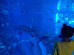 -成都浩海立方海洋公园