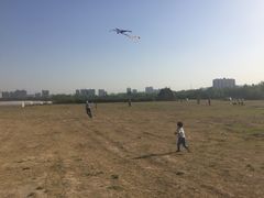 -汉长安城未央宫国家考古遗址公园