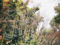 -成都杜甫草堂博物馆