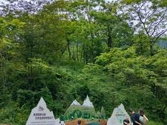 -西岭雪山大飞水景区
