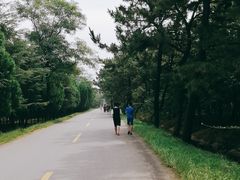 -日照海滨国家森林公园