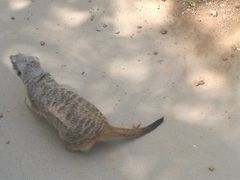 -石家庄市动物园