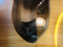 -白兔子密室(长寿路店)