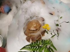 -蝶园·装修中(BFC外滩金融中心店)