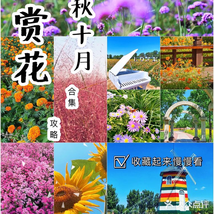 北京花海🌺金秋十月赏花攻略㊙️