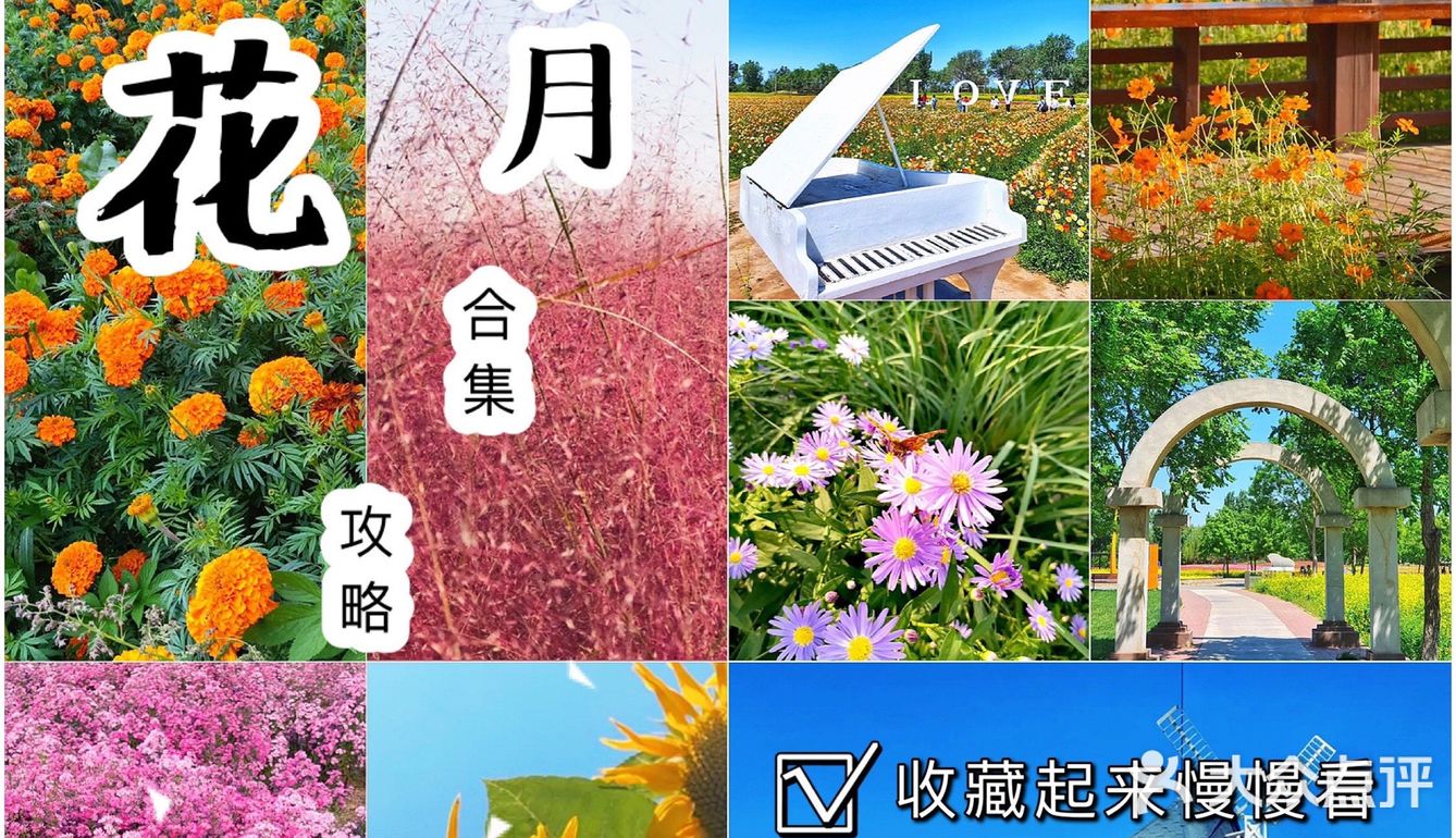 北京花海🌺金秋十月赏花攻略㊙️