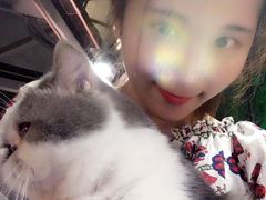 -more than meow吴止猫主题餐厅(承德 中船汇店)