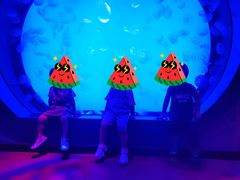 -沈阳海洋探索中心