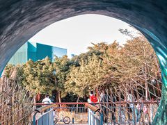 -福田红树林生态公园