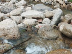 -秦岭终南山世界地质公园翠华山景区