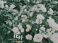 -睦南公园