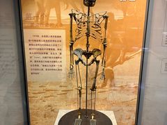 -天津自然博物馆