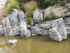 -神光山国家森林公园