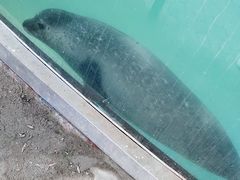 -北戴河圣蓝海洋公园