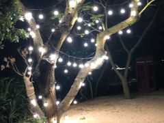 -那琴半岛地质海洋公园