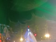-鼎龙湾德萨斯水世界
