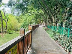 -大屏嶂森林公园