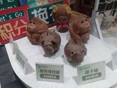 -春润大地海南椰子鸡(沙井京基百纳广场店)