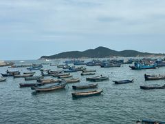 -海源公园