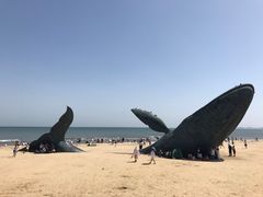 -烟台金沙滩海滨公园