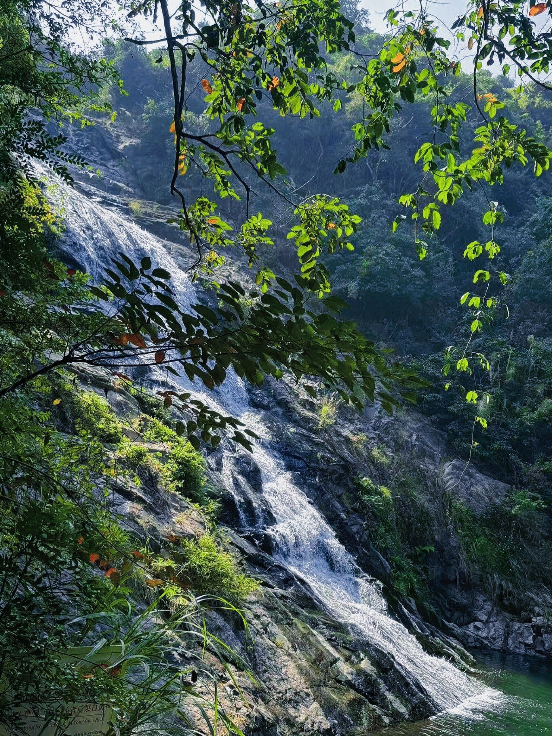 马峦山郊野公园,深圳的自然秘境!