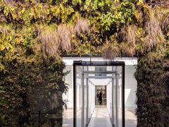 -金泽21世纪美术馆