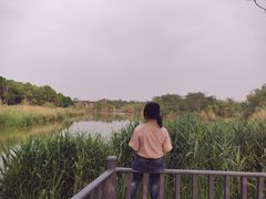 -白鹭湾湿地公园