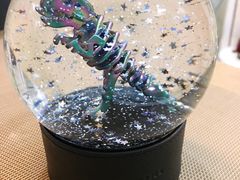 -COACH蔻驰(美罗百货新区)