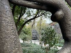 -杭州植物园