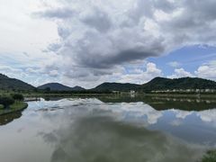 -风云岭森林公园