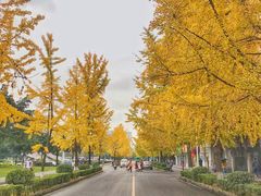 -四川大学(望江校区)