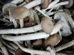 -北京清河镇农副产品交易市场中心