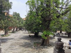 -北京国子监胡同